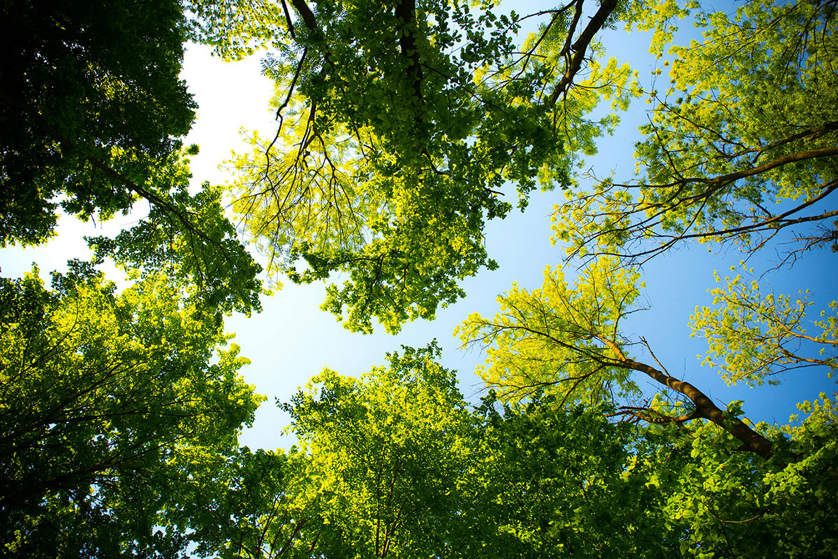 Less stress in nature